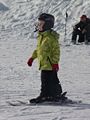 Vorschaubild der Version vom 16:16, 23. Jan. 2010