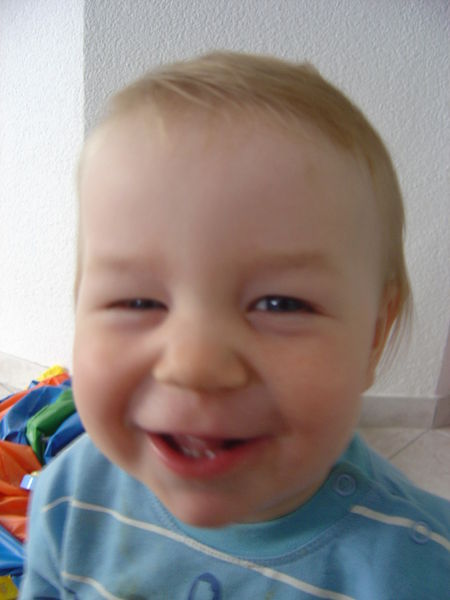 Datei:2008 08.JPG