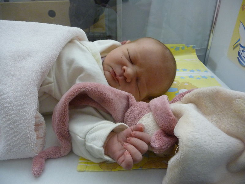 Datei:2012 04.JPG